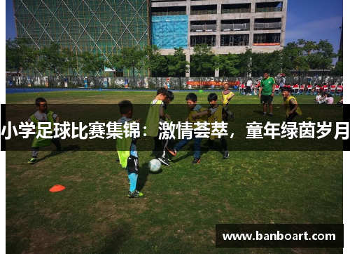 小学足球比赛集锦：激情荟萃，童年绿茵岁月
