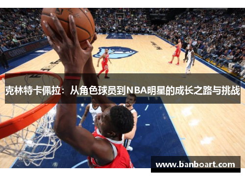 克林特卡佩拉：从角色球员到NBA明星的成长之路与挑战