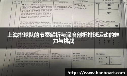 上海排球队的节奏解析与深度剖析排球运动的魅力与挑战